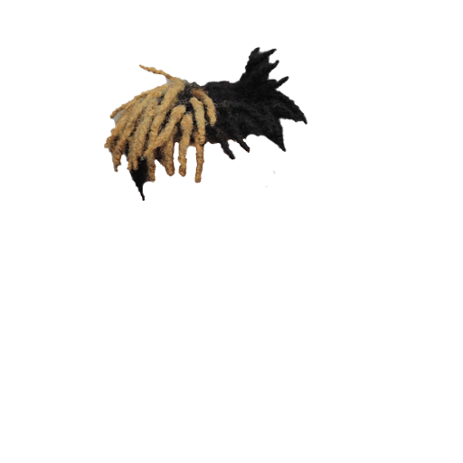 hair12