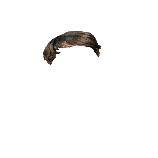 hair2