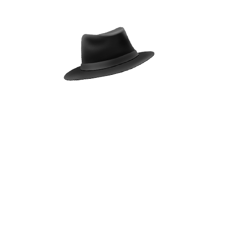 hat2
