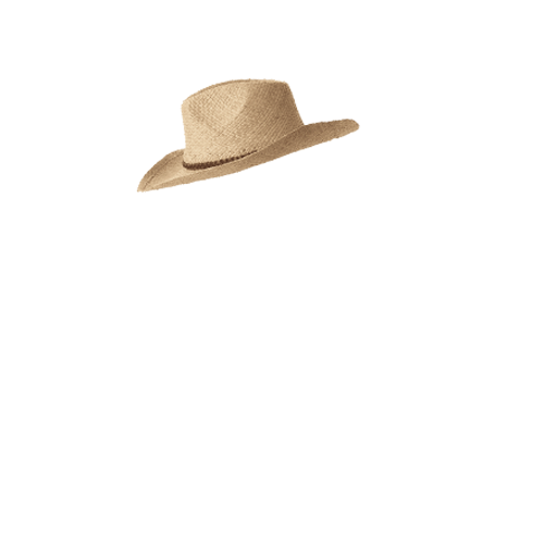 hat4